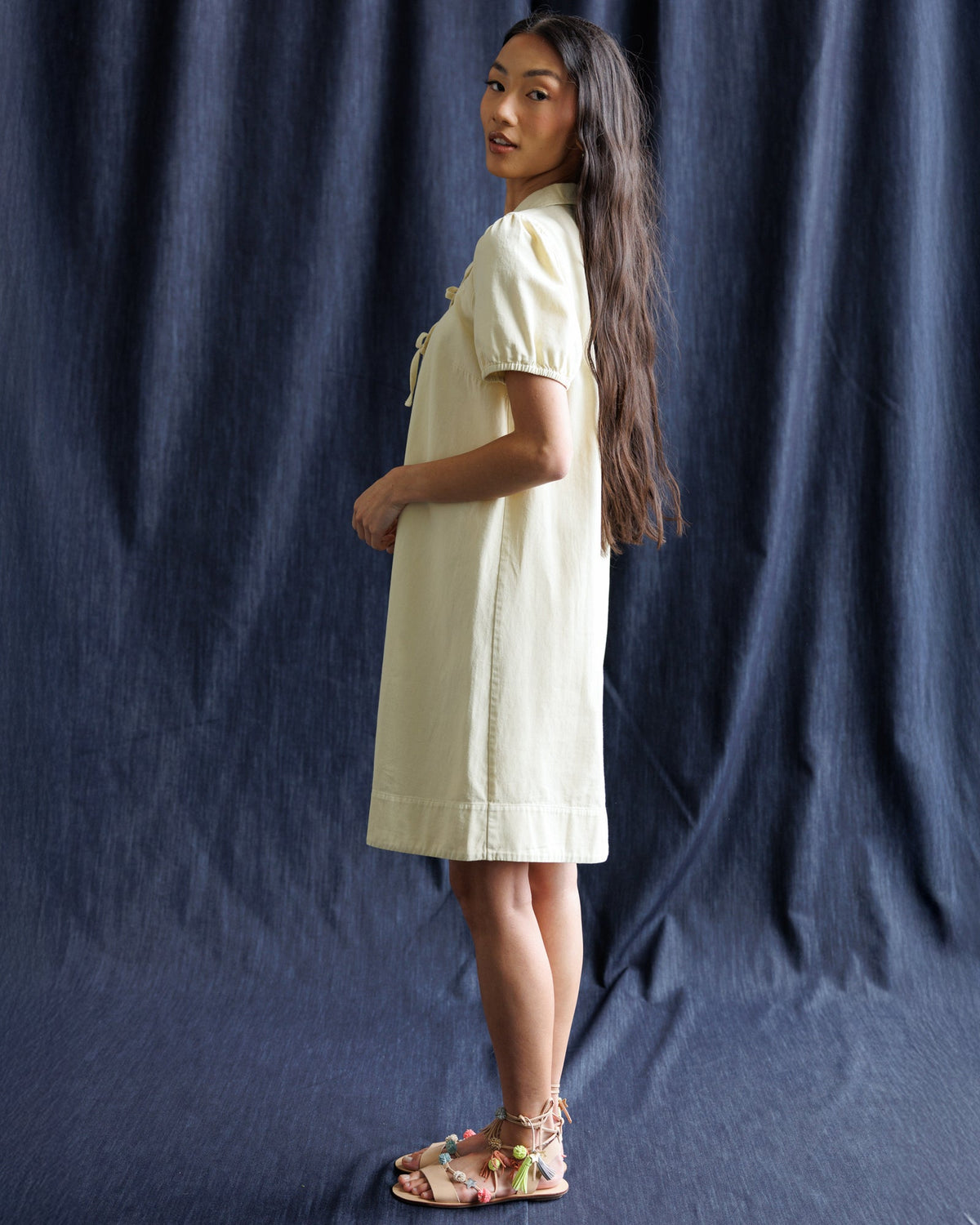 Demure Denim Dress Downeast
