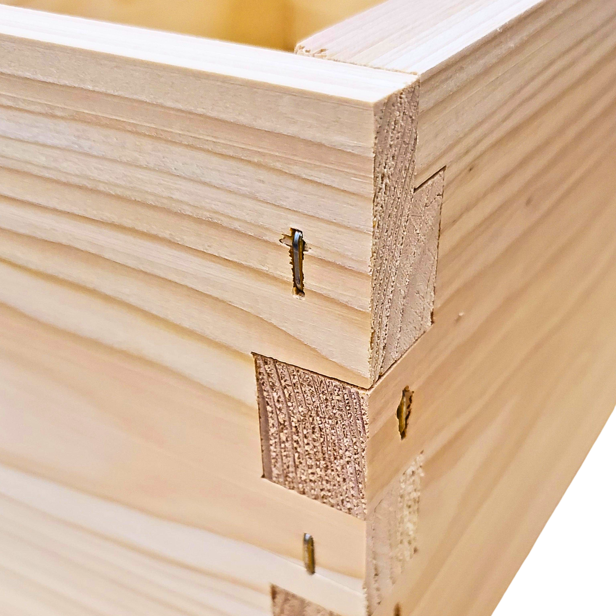 10-Frame All-Medium Box Hive Kit Foxhound Bee Company