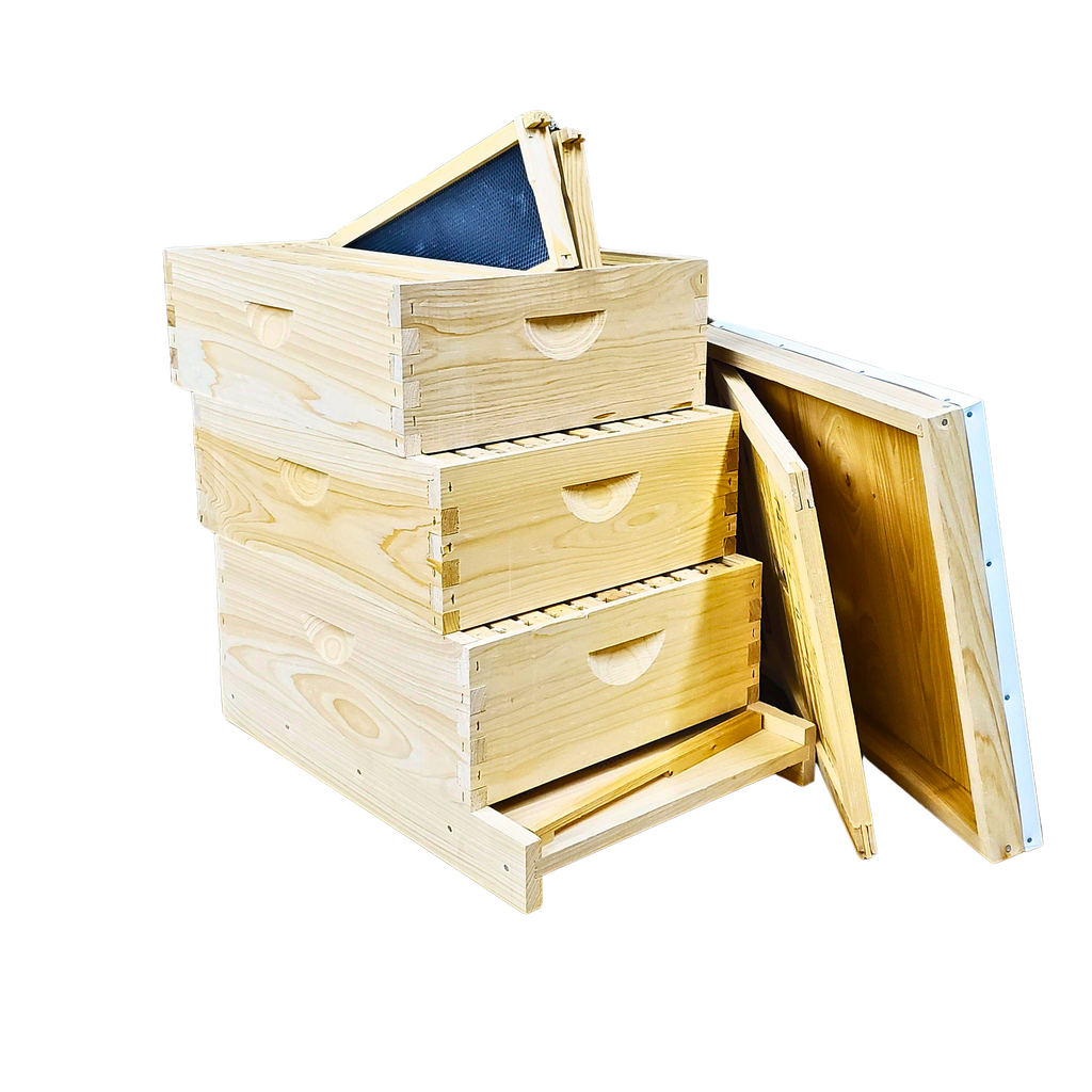 10-Frame All-Medium Box Hive Kit Foxhound Bee Company
