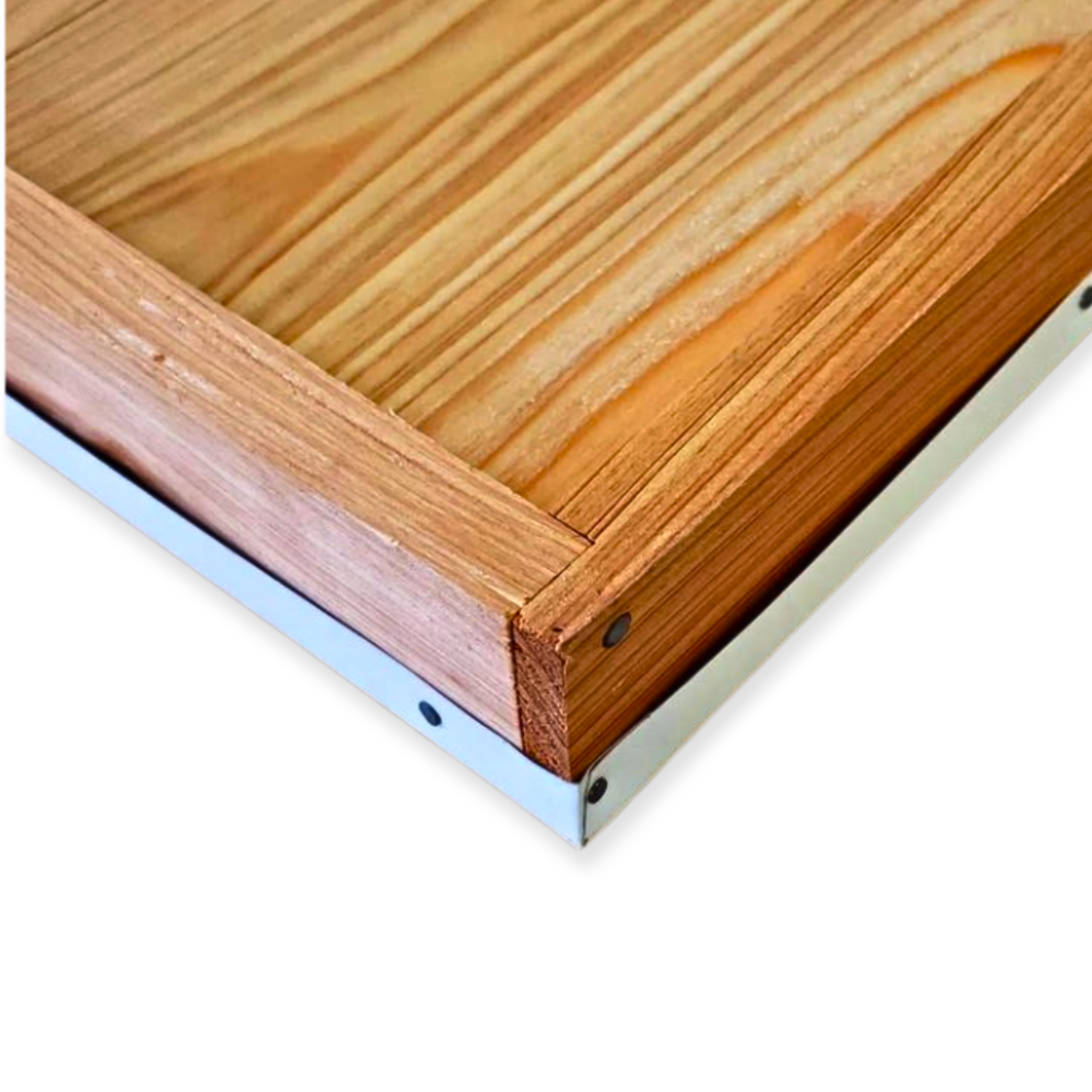 10-Frame All-Medium Box Hive Kit Foxhound Bee Company
