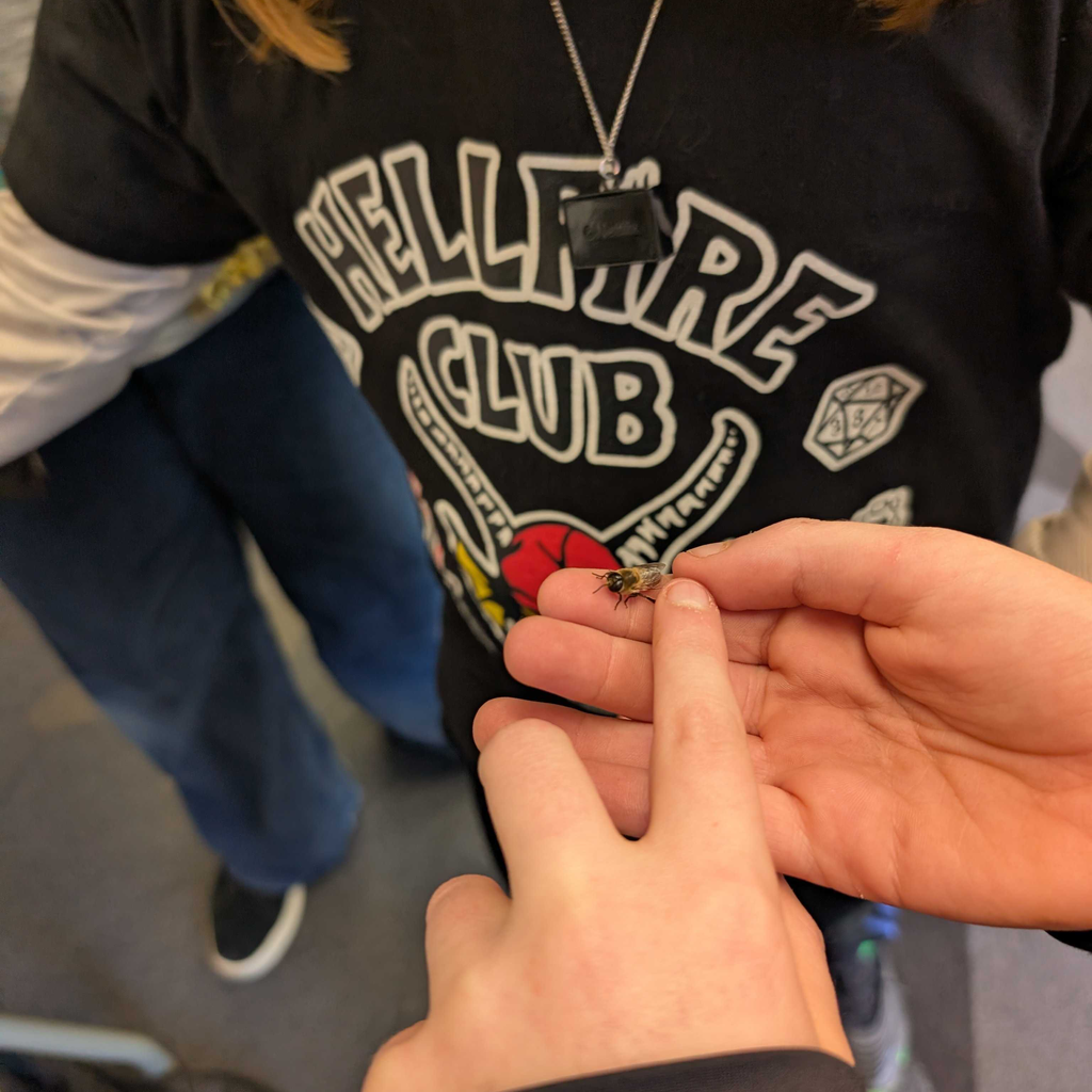 Interactive Bee Class Foxhound Bee Company