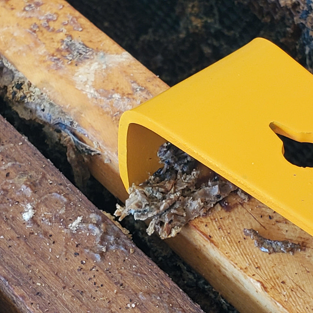 10.25-inch Orange Hive Tool Foxhound Bee Company
