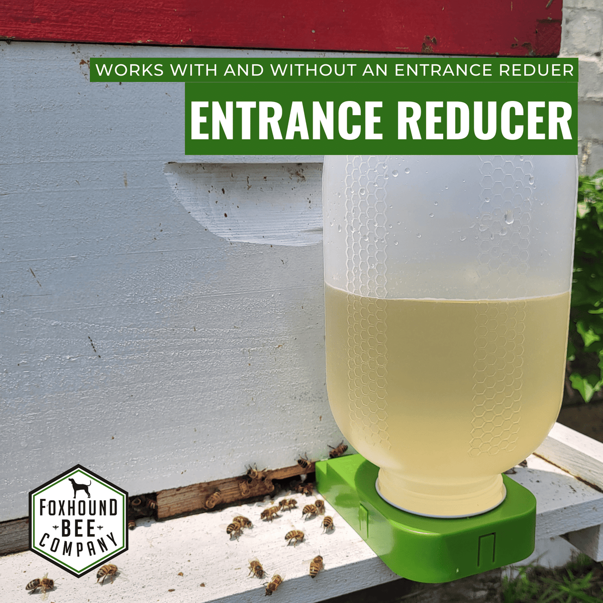 1/2 Gallon Jar and Foxhound Entrance Feeder with UV Inhibitor Foxhound Bee Company