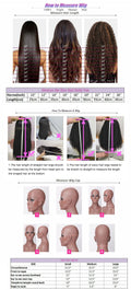 Highlight Body Wave Human Hair Lace Front Wig