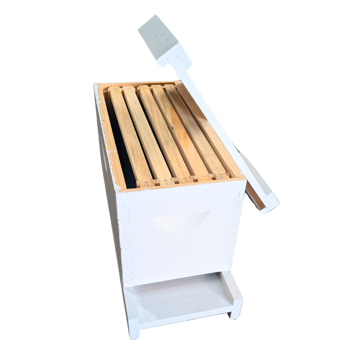 5-Frame Complete, Deep 9 5/8-inch Box with Frames and Foundation Foxhound Bee Company