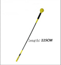 Golf Swing Trainer