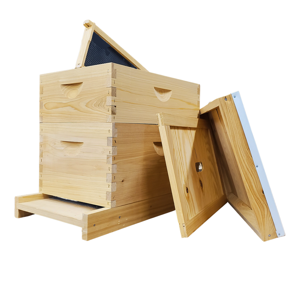 8-Frame Deep and Medium Box Hive Kit Foxhound Bee Company