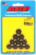 Hex Nut Kit w/Flange 5/16-24 (10pk) - 2008674 Vinyasa Automotive