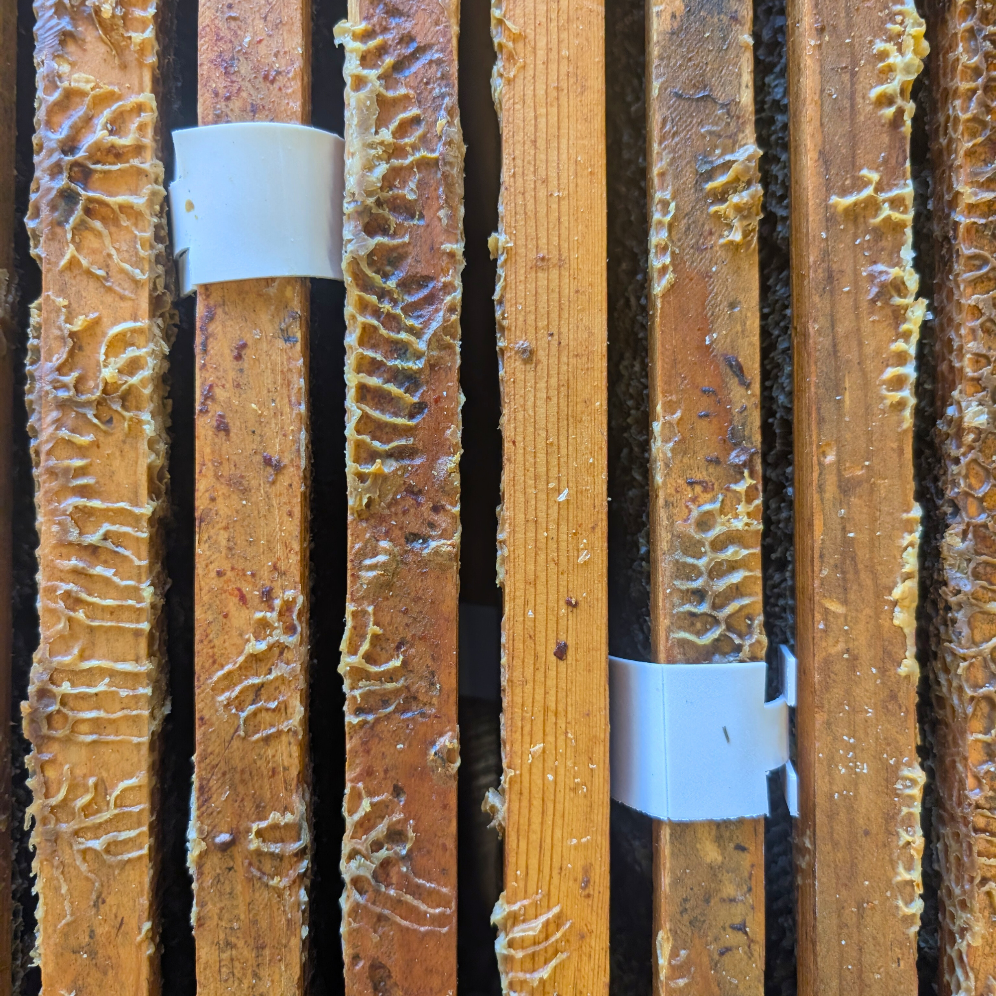 Apivar 2.0 Varroa Mite Strips Foxhound Bee Company
