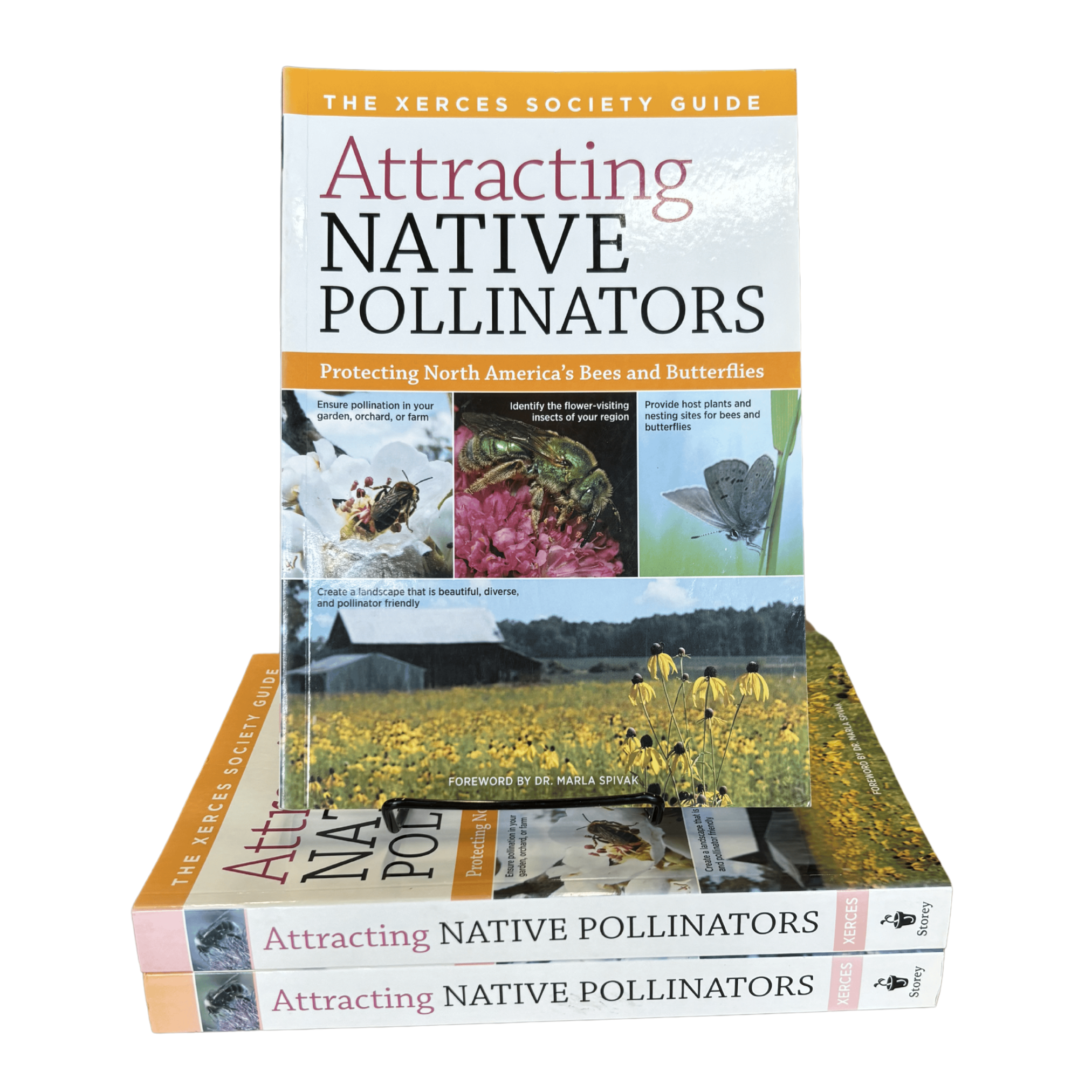 Attracting Native Pollinators Foxhound Bee Company