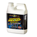 Radiator Relief Additive 1qt - 40104 Vinyasa Automotive