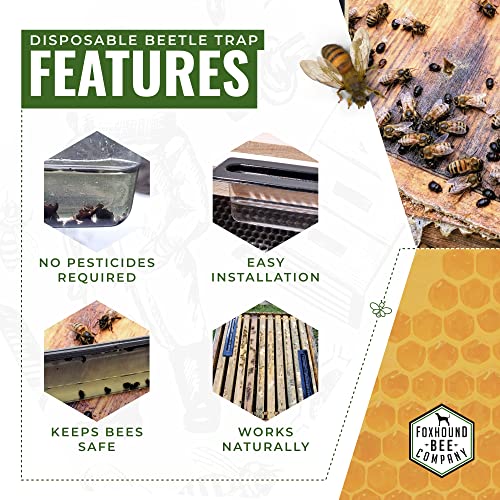 Disposable Small Hive Beetle Trap Foxhound Bee Company
