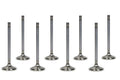 Valve- Exhaust - 116898 Vinyasa Automotive
