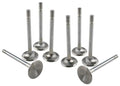 Valve Set - 123458 Vinyasa Automotive