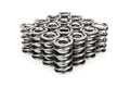 Valve Spring Set - 22143216 Vinyasa Automotive