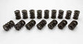 Valve Spring Set - 22145616 Vinyasa Automotive