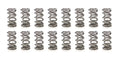 Spring- Valve - 22146116 Vinyasa Automotive