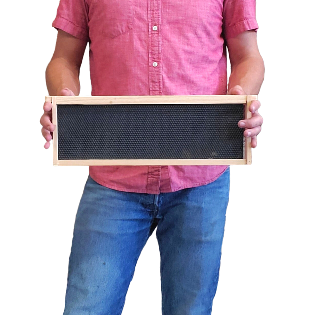 Medium 6 1/4-Inch Frame, Grooved Top / Grooved Bottom With Double Wax Foundation Foxhound Bee Company