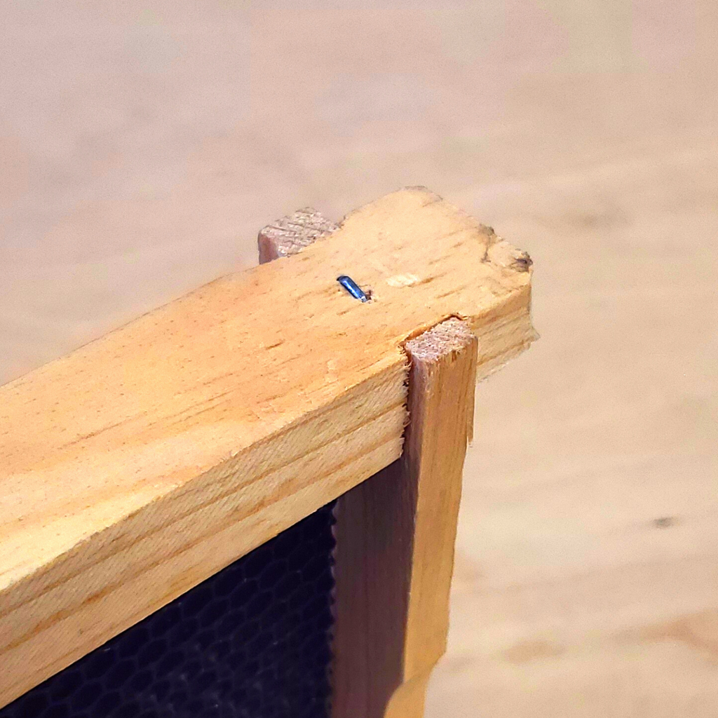 Medium 6 1/4-Inch Frame, Grooved Top / Grooved Bottom With Double Wax Foundation Foxhound Bee Company
