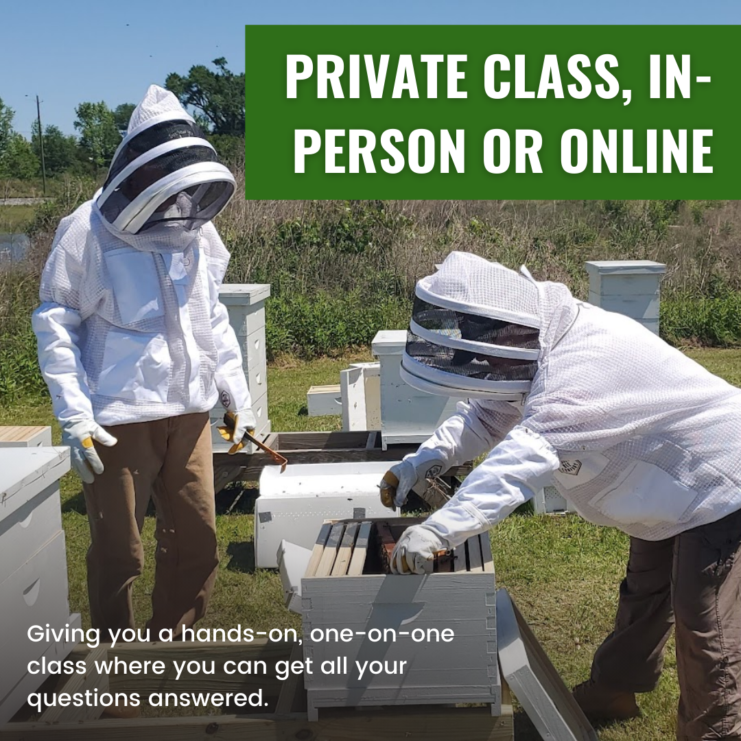 Private Class - Mentor Service Foxhound Bee Company