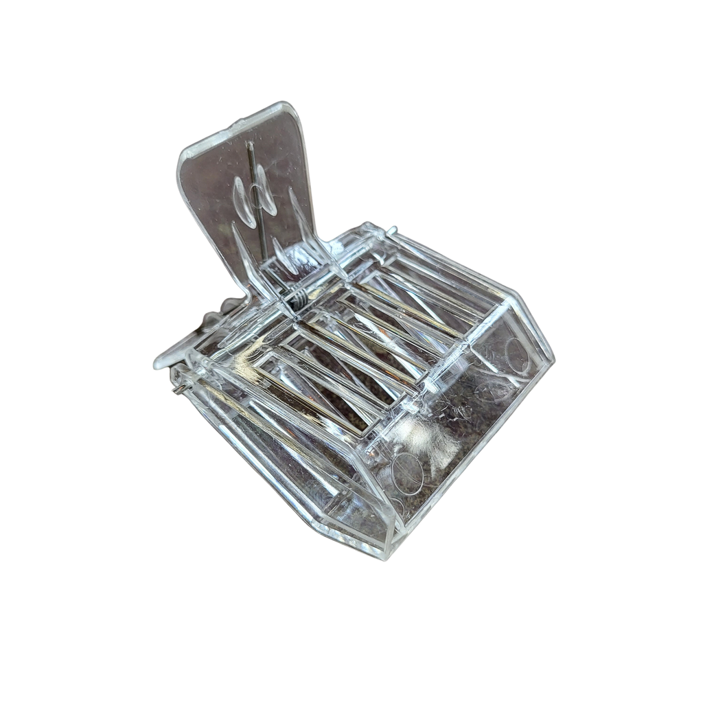 Queen Clip, Plastic Foxhound Bee Company