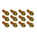 Header Bolt Kit 0.875in Allen Head Bolts - SPE46723 Vinyasa Automotive