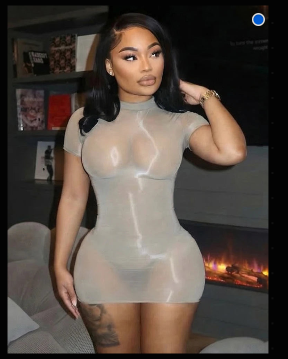 Sheer Mesh Short Sleeve Bodycon Mini Dress Rose In Concrete 🥀