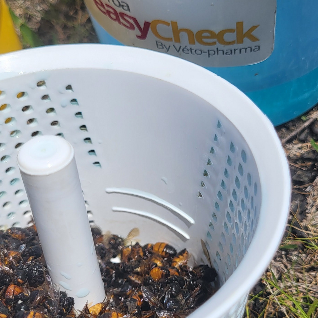 Varroa Easy Check Foxhound Bee Company