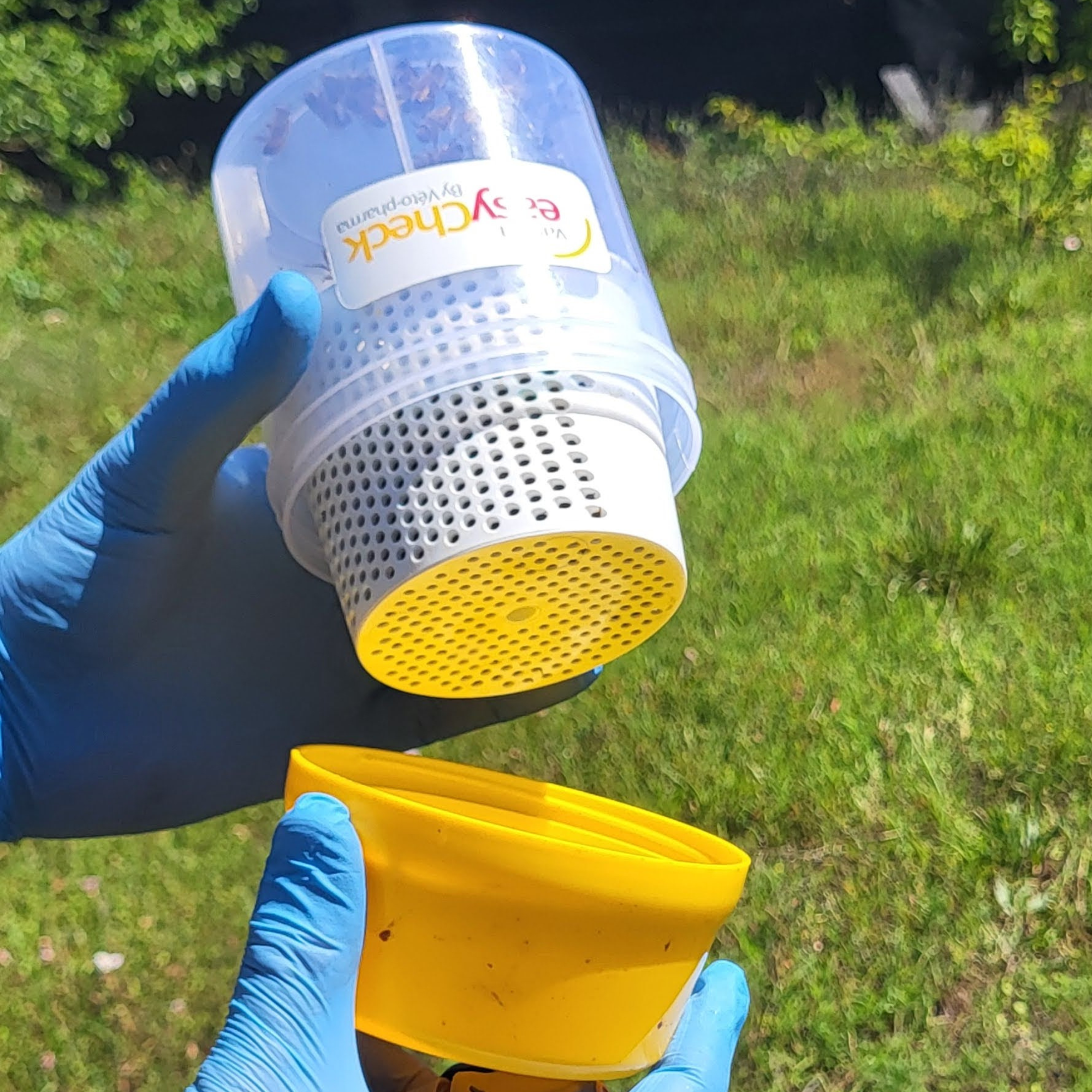 Varroa Easy Check Foxhound Bee Company