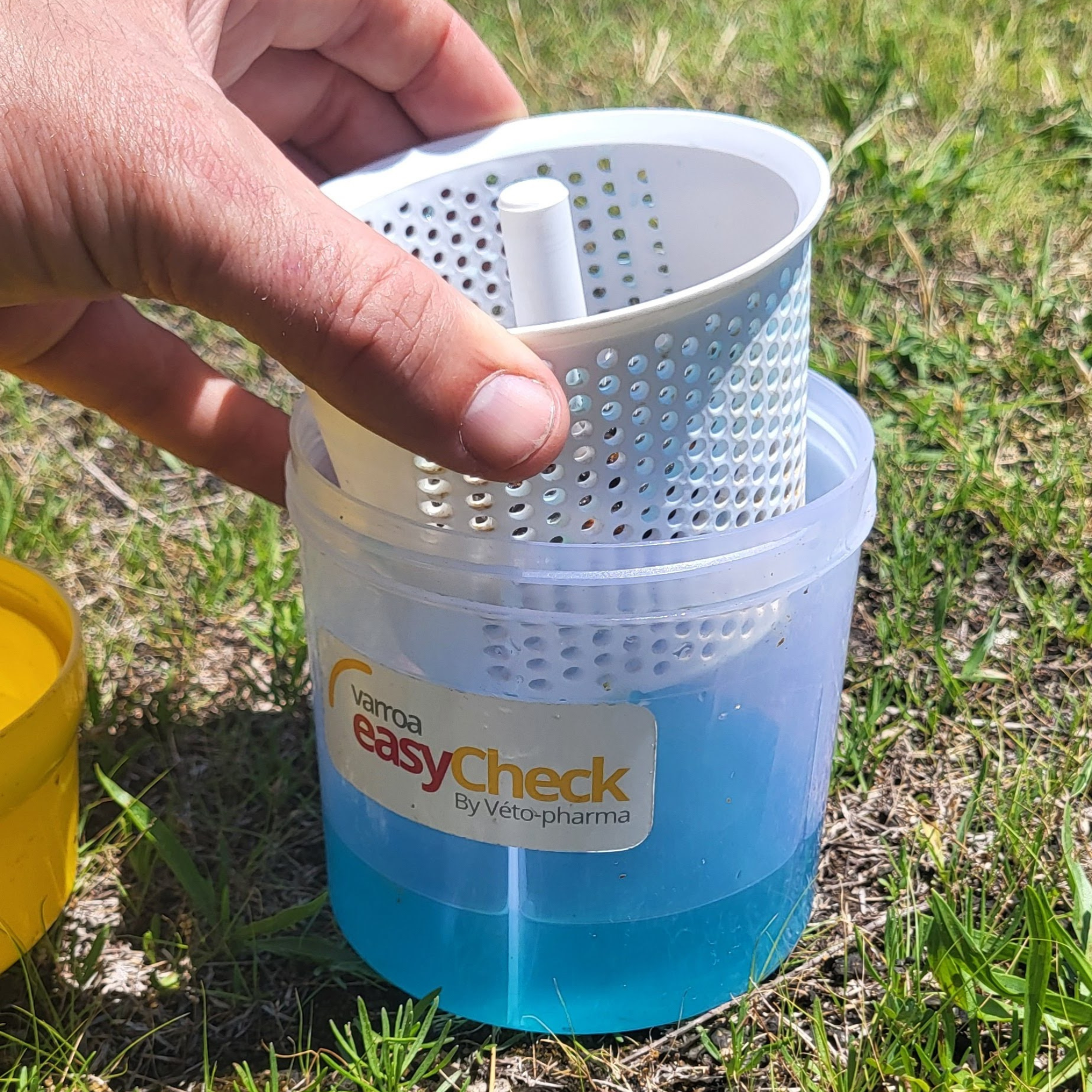 Varroa Easy Check Foxhound Bee Company