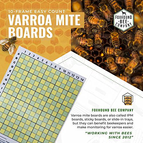 Varroa Mite Board Foxhound Bee Company