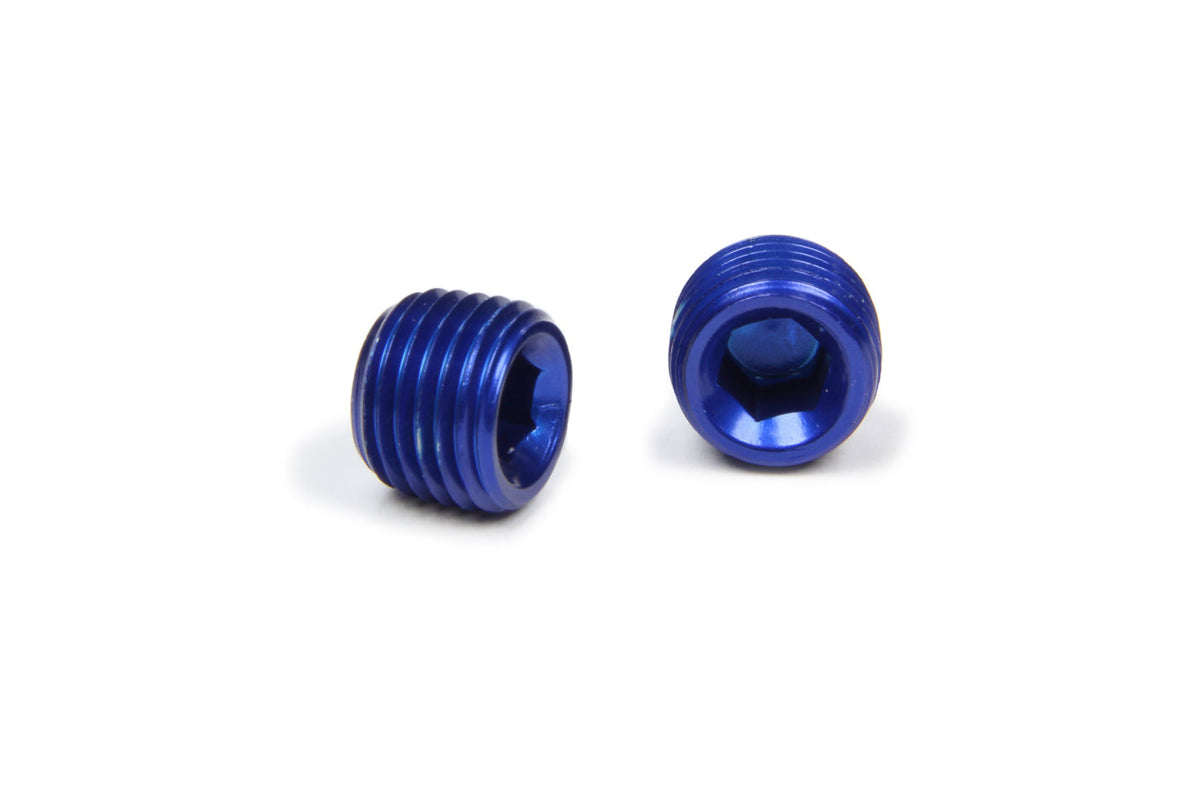 1/4in Allen Head Pipe Plug (2pk) - 993203 Vinyasa Automotive