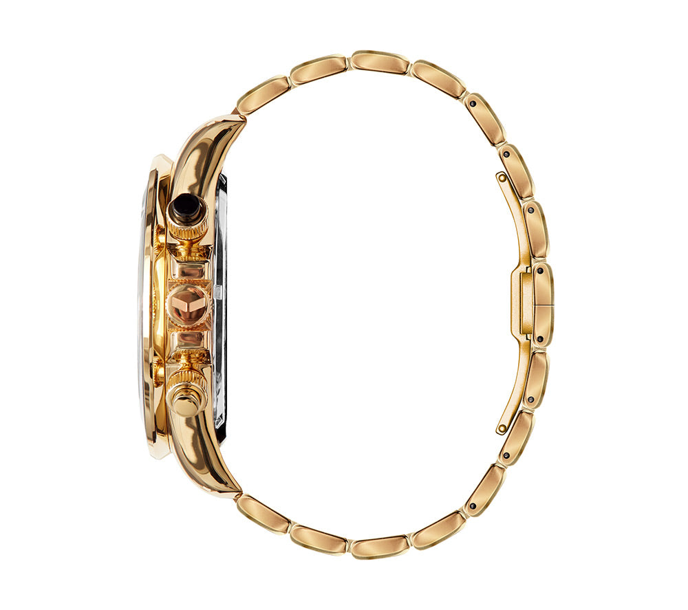 ZR3 - Gold/Black Polished Vestal Watch