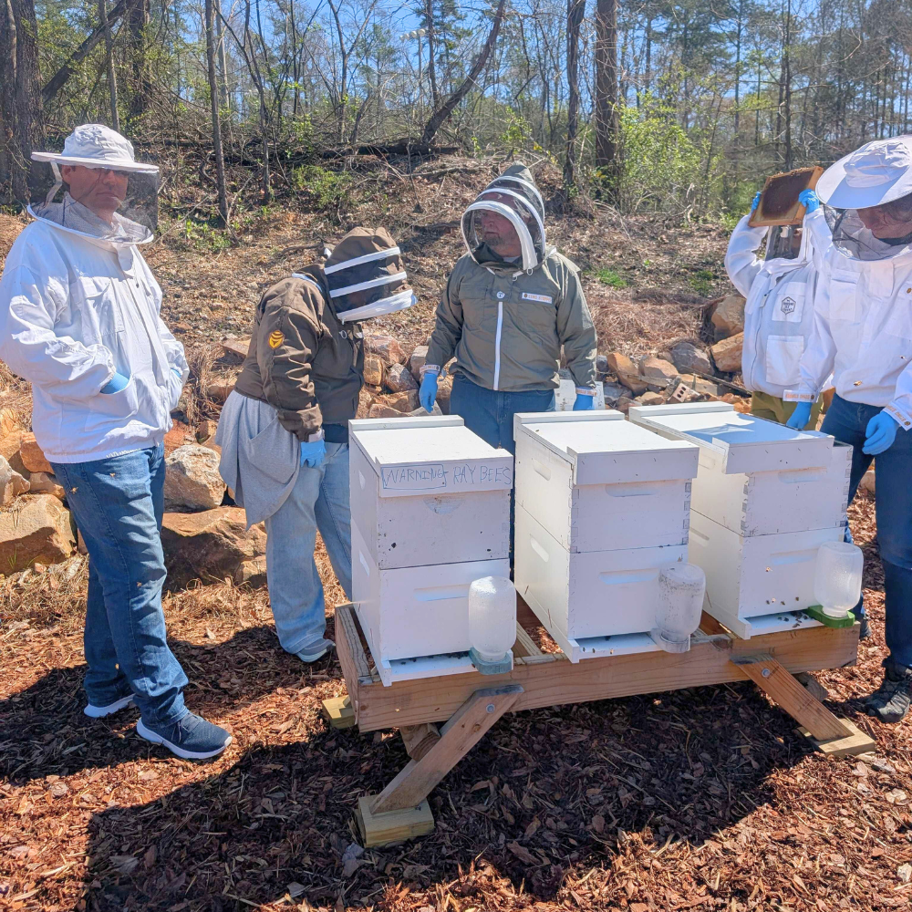 Bee School - One Day Class Foxhound Bee Company