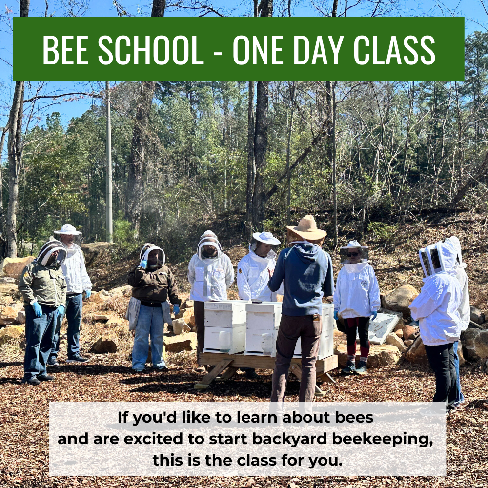 Bee School - One Day Class Foxhound Bee Company