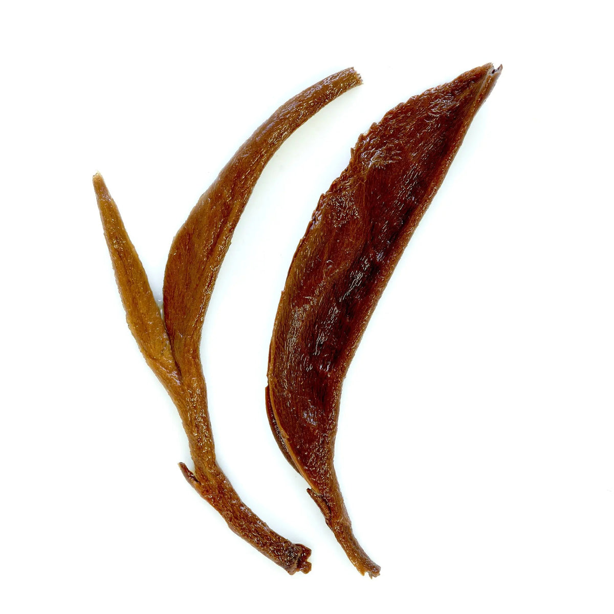 Rare Leaves Gold - Single Estate Nepalese Black Tea August Uncommon Tea