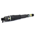 Arnott New OE Air Shocks and Struts - AS3429 Vinyasa Automotive