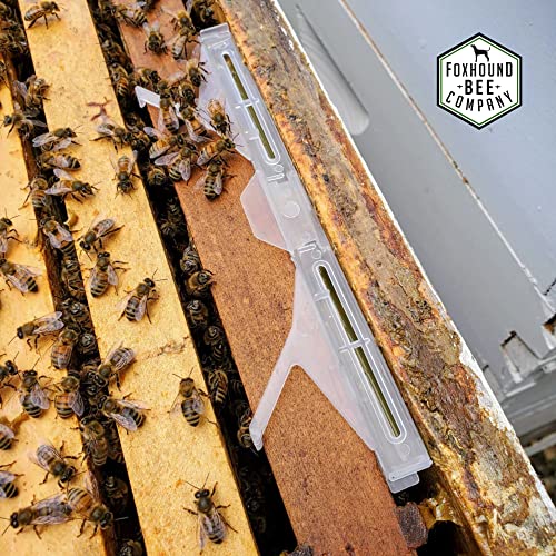 Small Hive Beetle Baitable Trap Foxhound Bee Company
