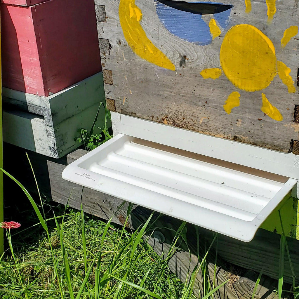 Small Hive Beetle Oil Pan Trap Foxhound Bee Company